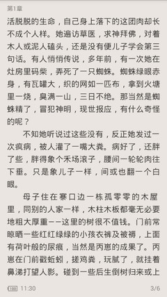 在菲律宾工作一定要办理签证吗，在菲律宾工作没有办理签证会有什么后果